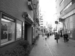 100_2916.jpg