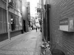 100_2917.jpg