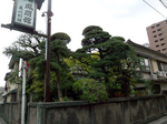 4_18100_1448.jpg